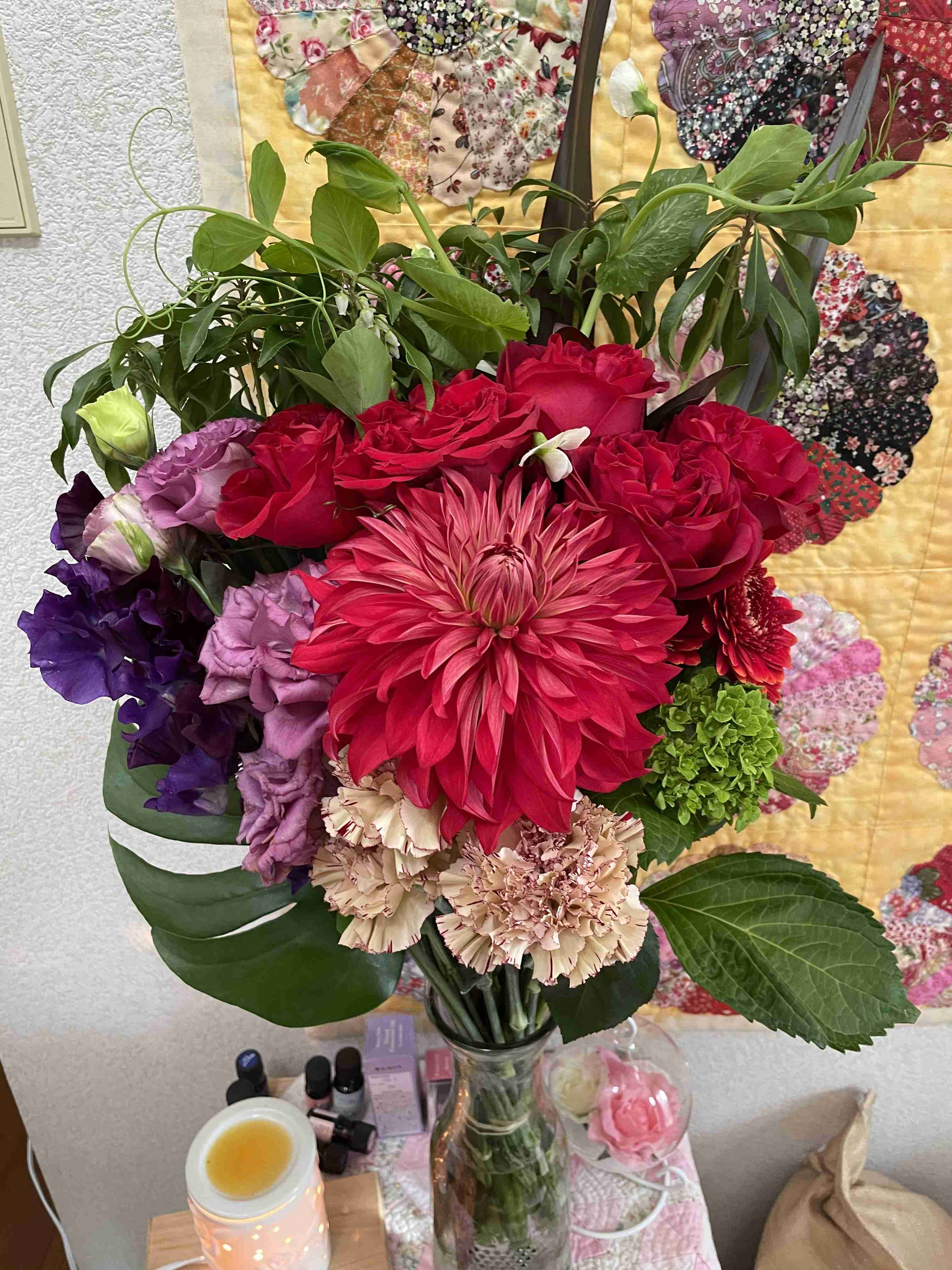 家の植物を見せてください