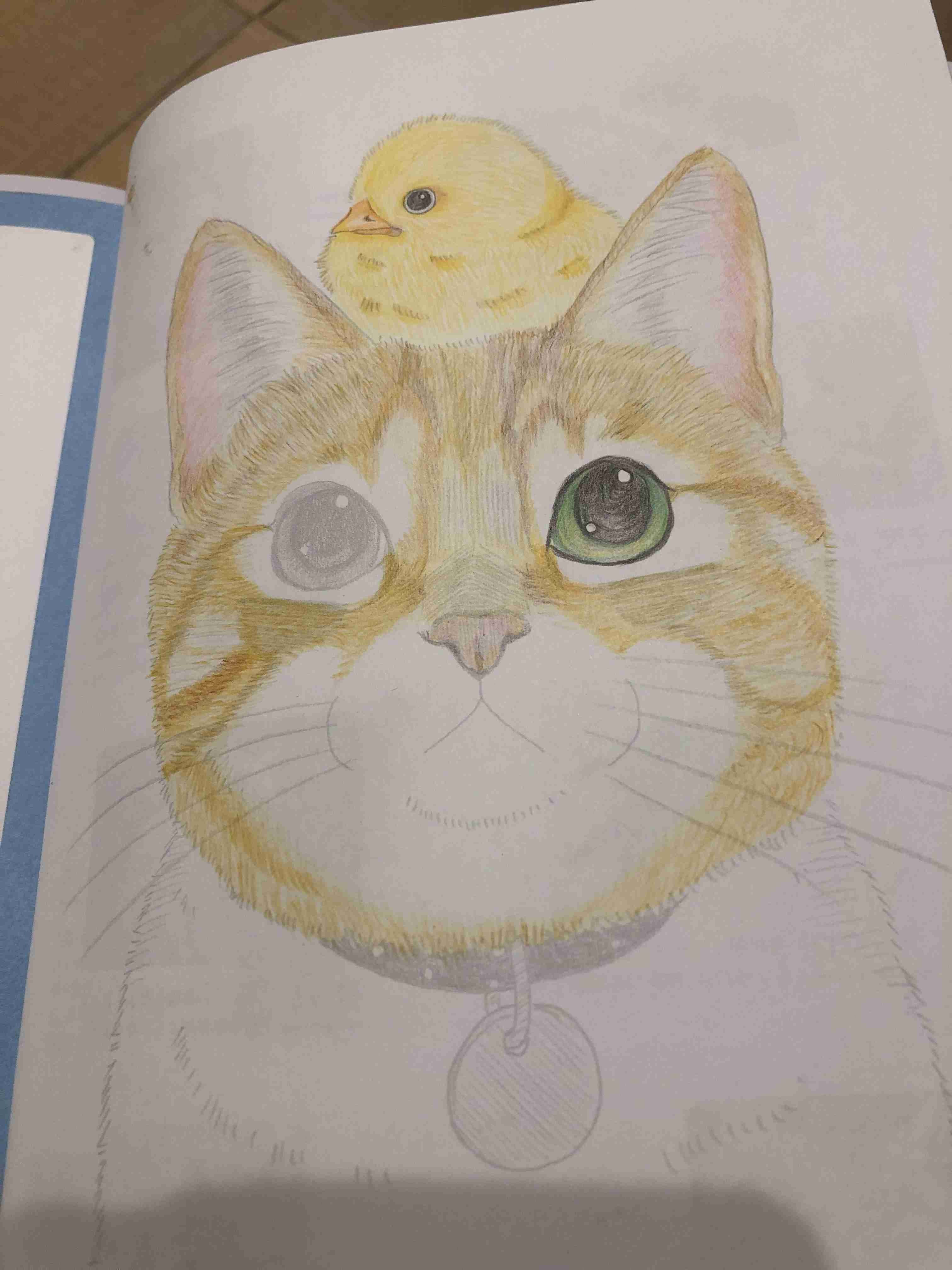 大人の塗り絵好きな人！