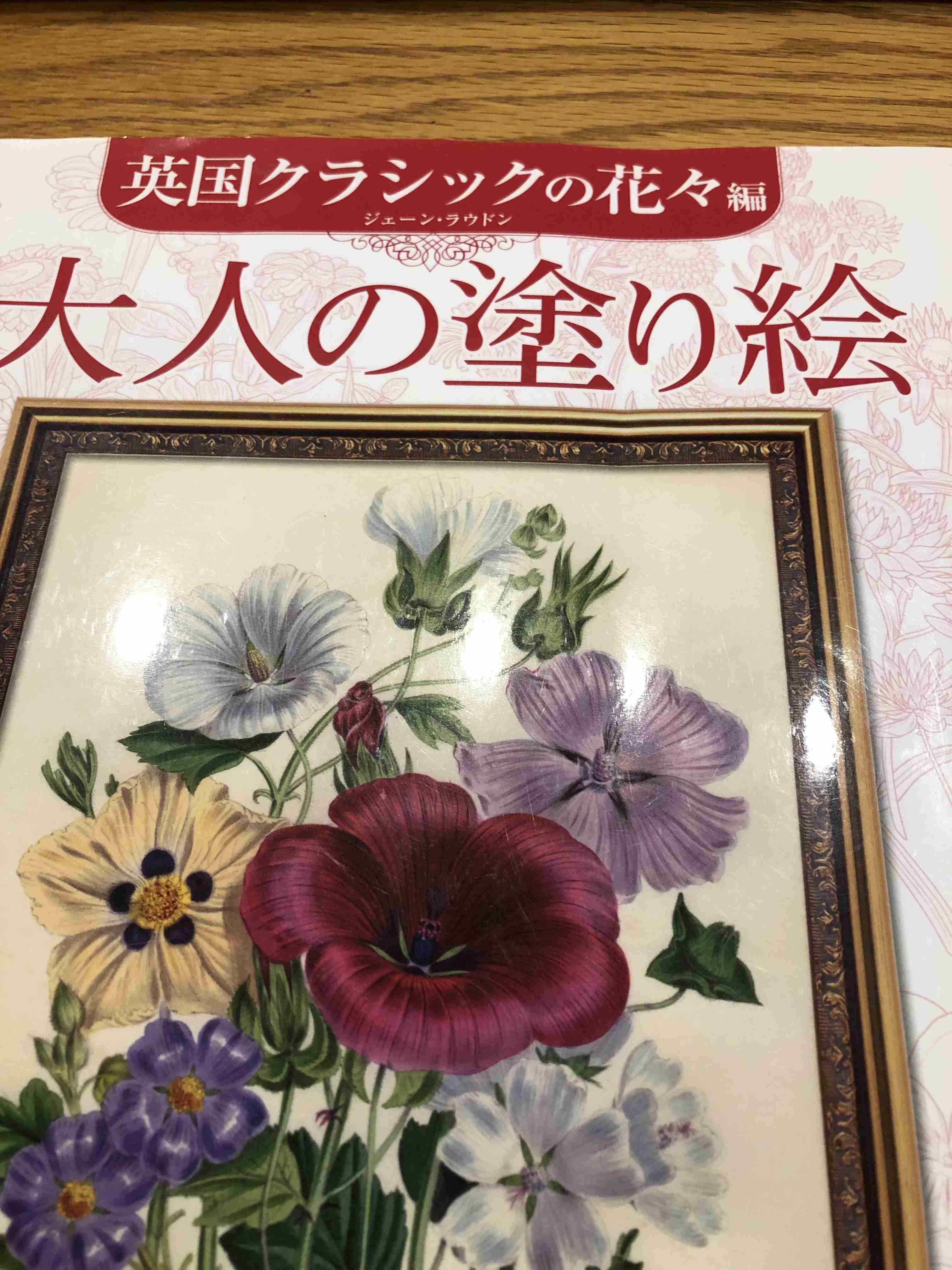 大人の塗り絵好きな人！