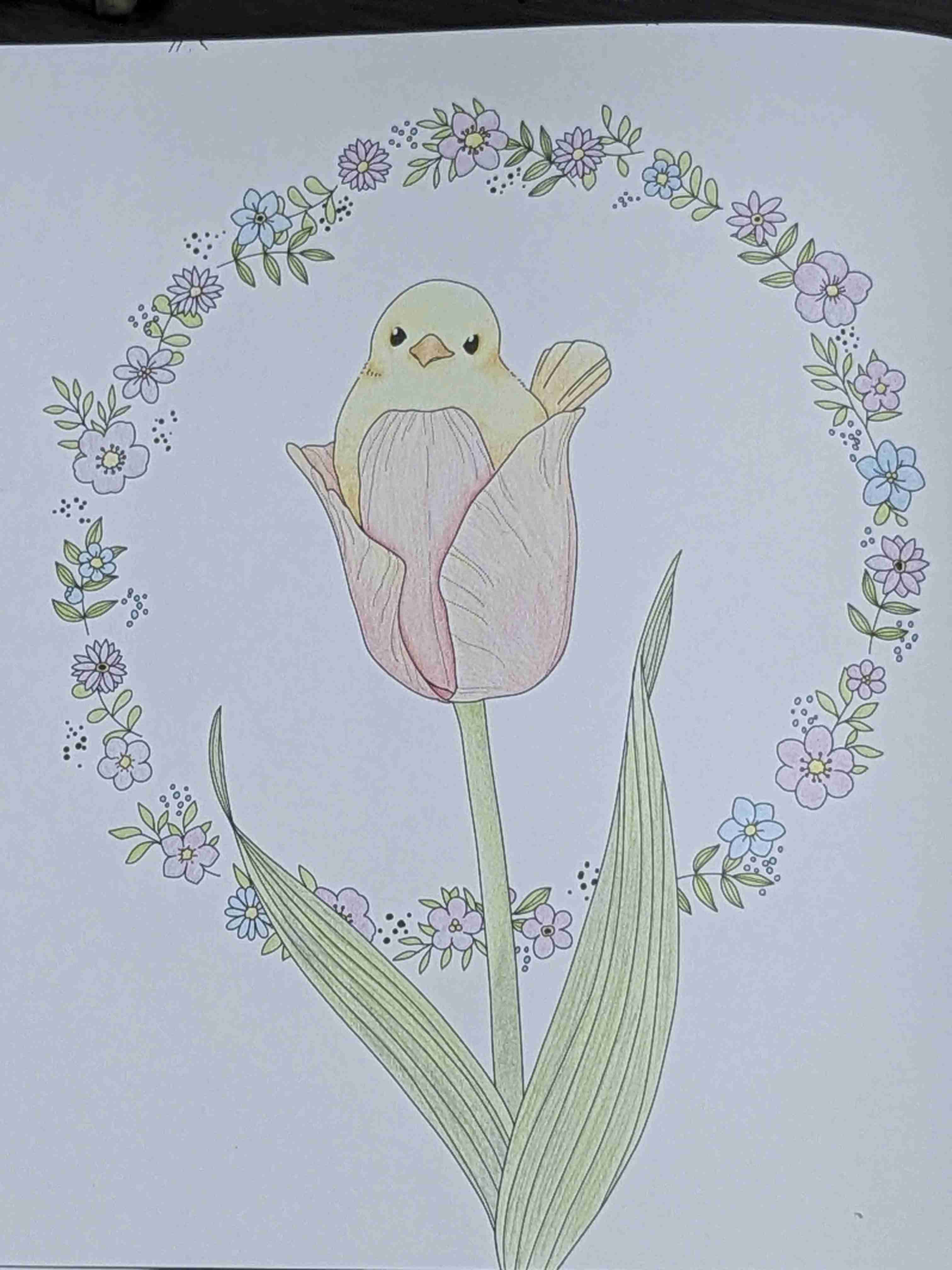 大人の塗り絵好きな人！