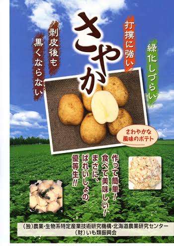 北海道産じゃがいも、今が旬! 