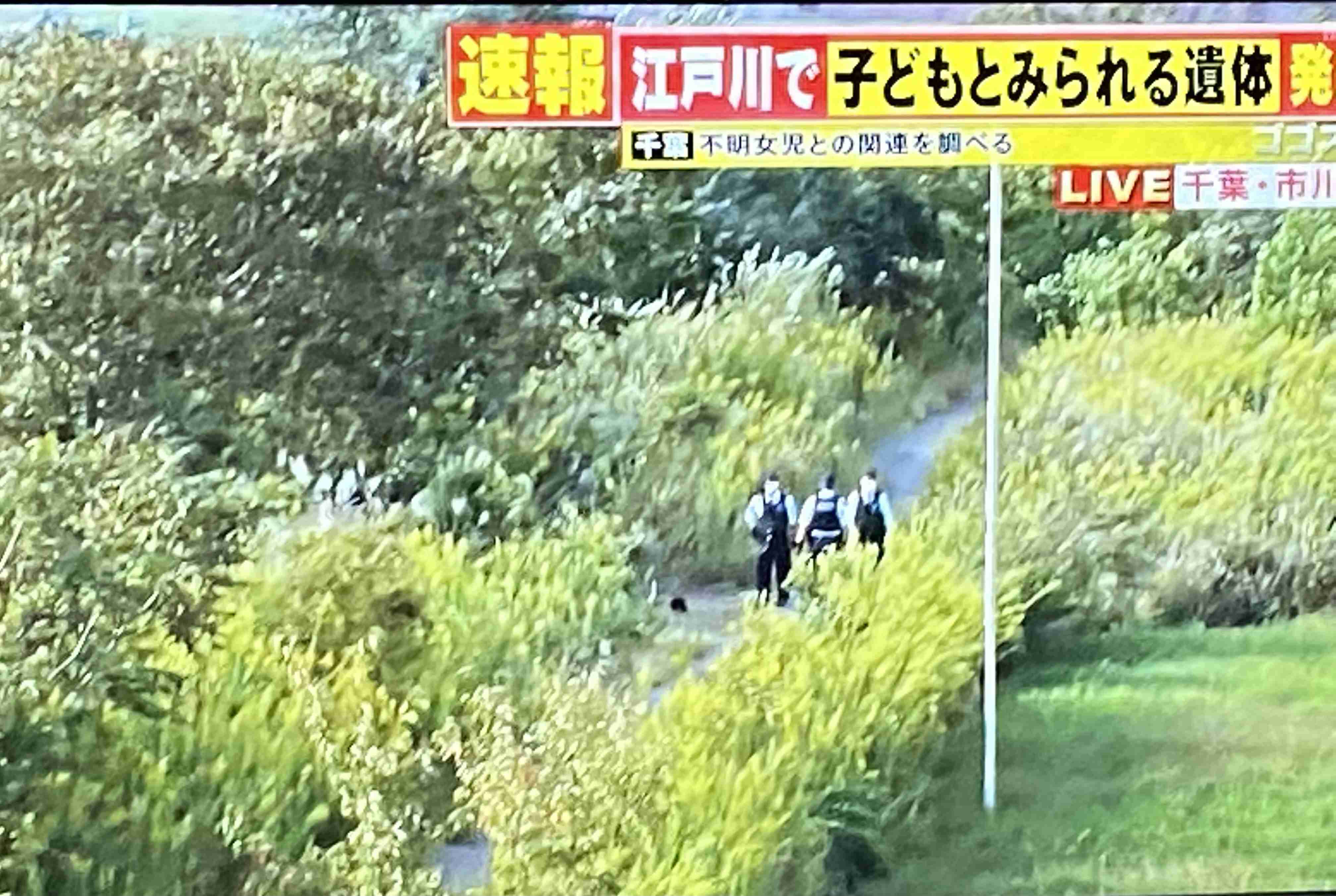千葉県市川市の江戸川で子どもとみられる遺体発見
