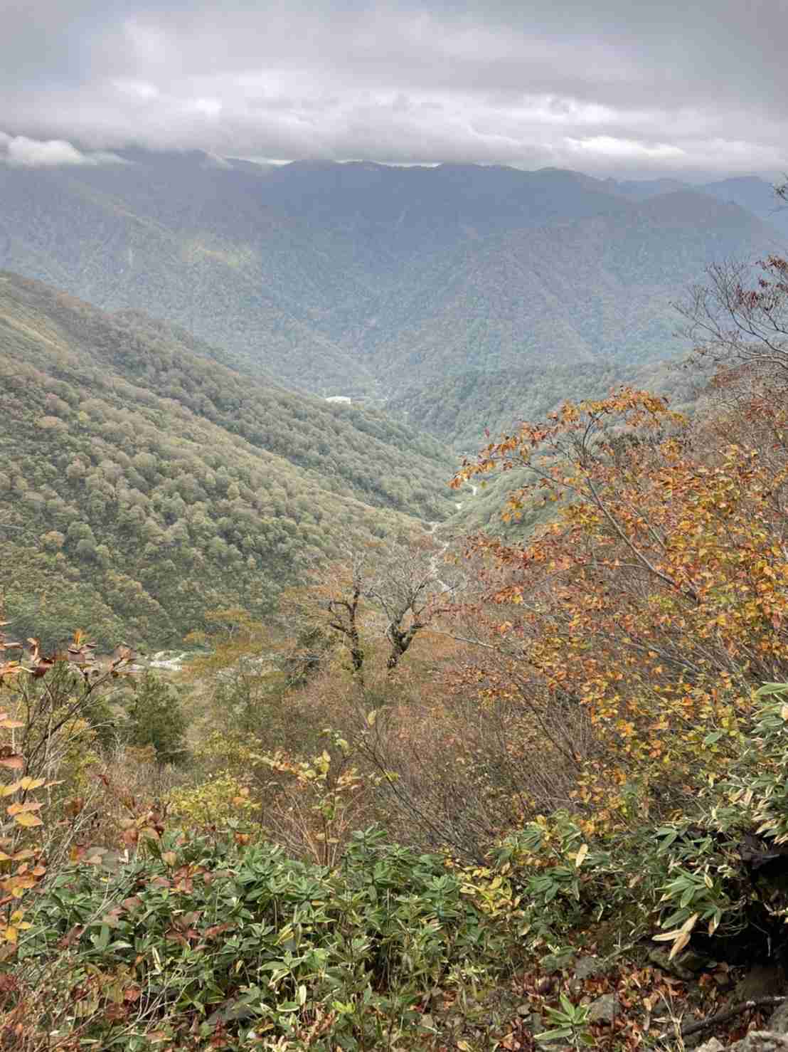 紅葉・登山ブーム「魔の山」にも殺到…救助要請が急増 “高額費用”請求も
