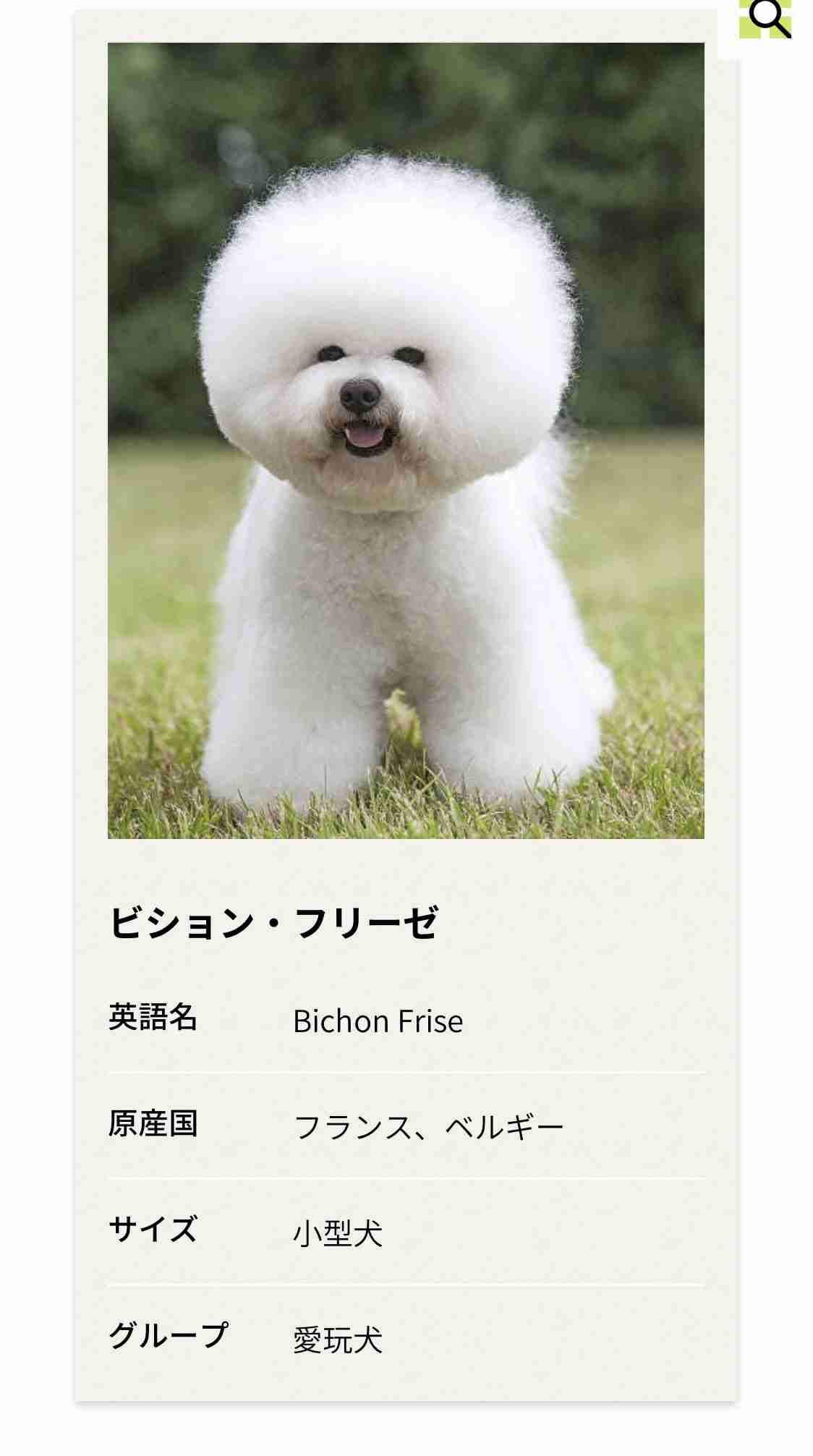美容院での失敗
