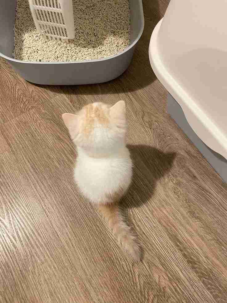 森七菜、自ら描いた芸術的な“空の絵”公開 『天気の子』地上波放送を前に新聞広告企画で