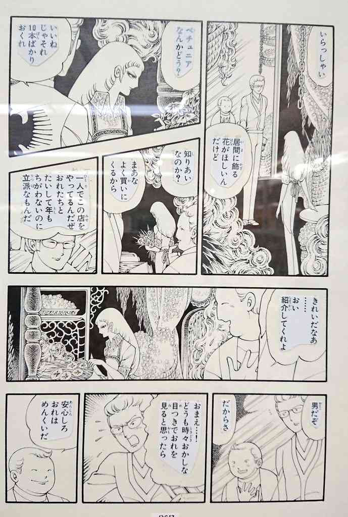 マイナーだけど魅力ある花〖植物〗