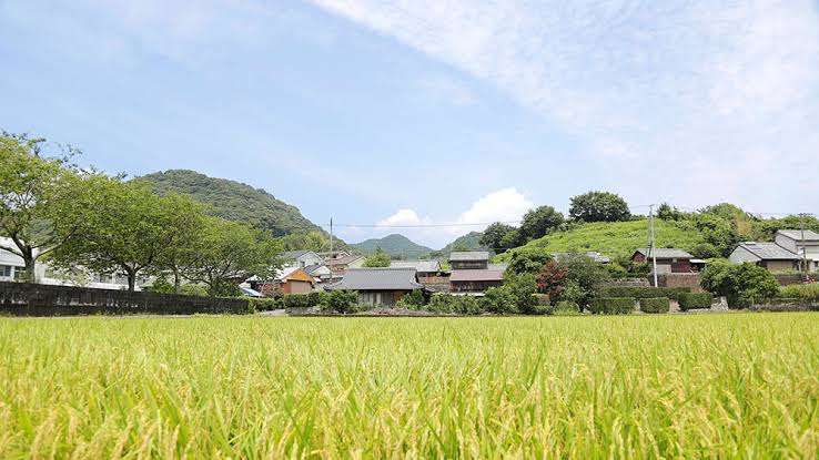 両親(片親)だけで田舎に暮らしている場合の将来・老後