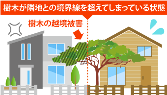 隣の木問題