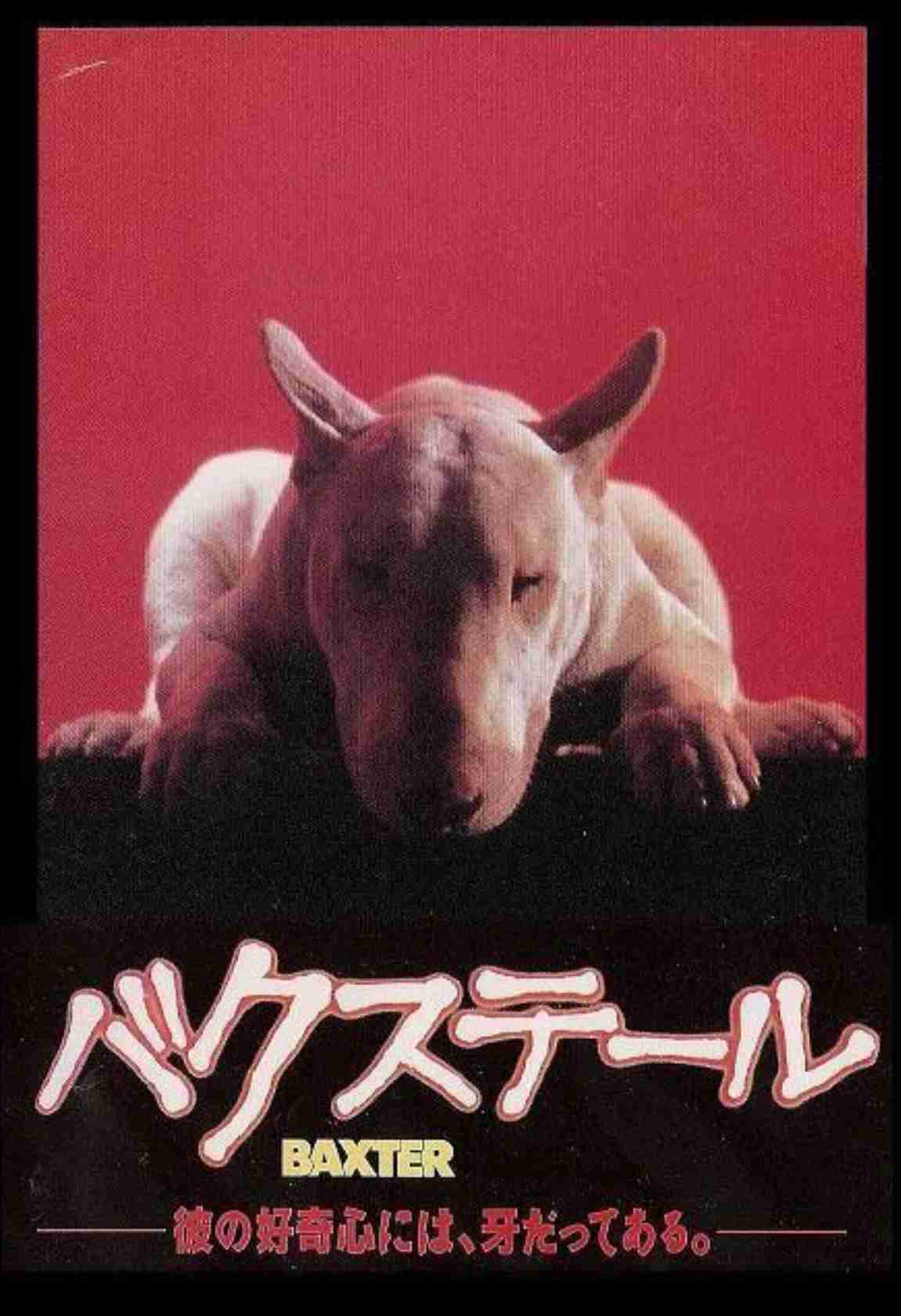 今まで見て面白かった映画の中で1番マイナーだと思う作品