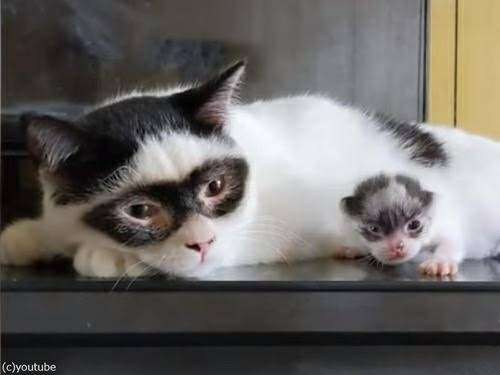 似た者同士がくっつくんだな。と思ったエピソード