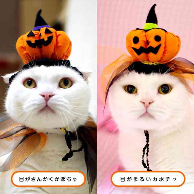 ハロウィーン、街に人出は 直前の週末、朝から仮装も