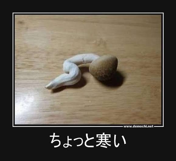 「スピードワゴン」小沢　楽屋で“世にも奇妙な”姿で仮眠