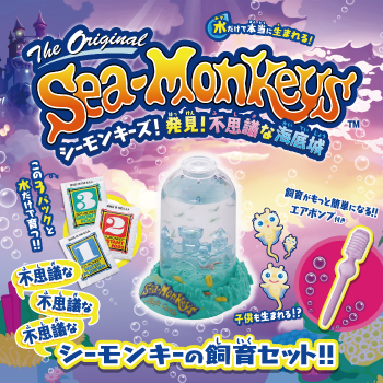 アレルギーでも飼えるペット
