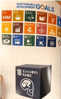 「これは世界的な洗脳です」　SDGsの取り組みを陰謀論扱いする若者たちの言い分