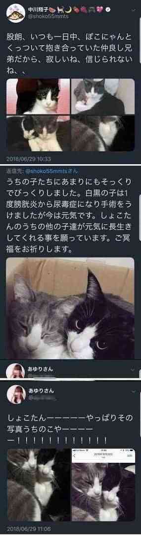 中川翔子