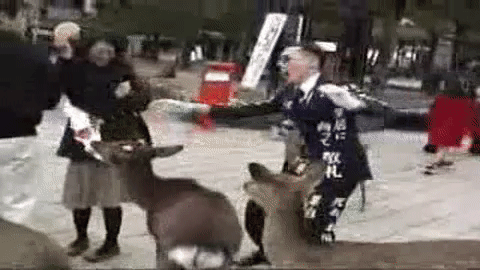 鳥肌実を知ってる人おいでPart13