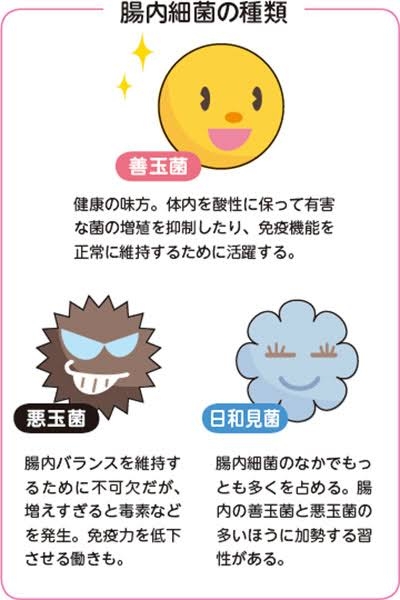 マツコ　ついに「痛風」になる　「大好き過ぎて一日6パック食べてたら…」としょんぼり