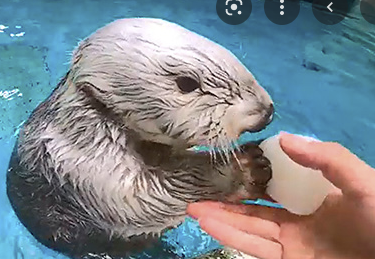 三重県の魅力やオススメを教えて！