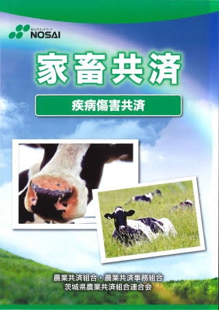 ペット保険のおすすめ