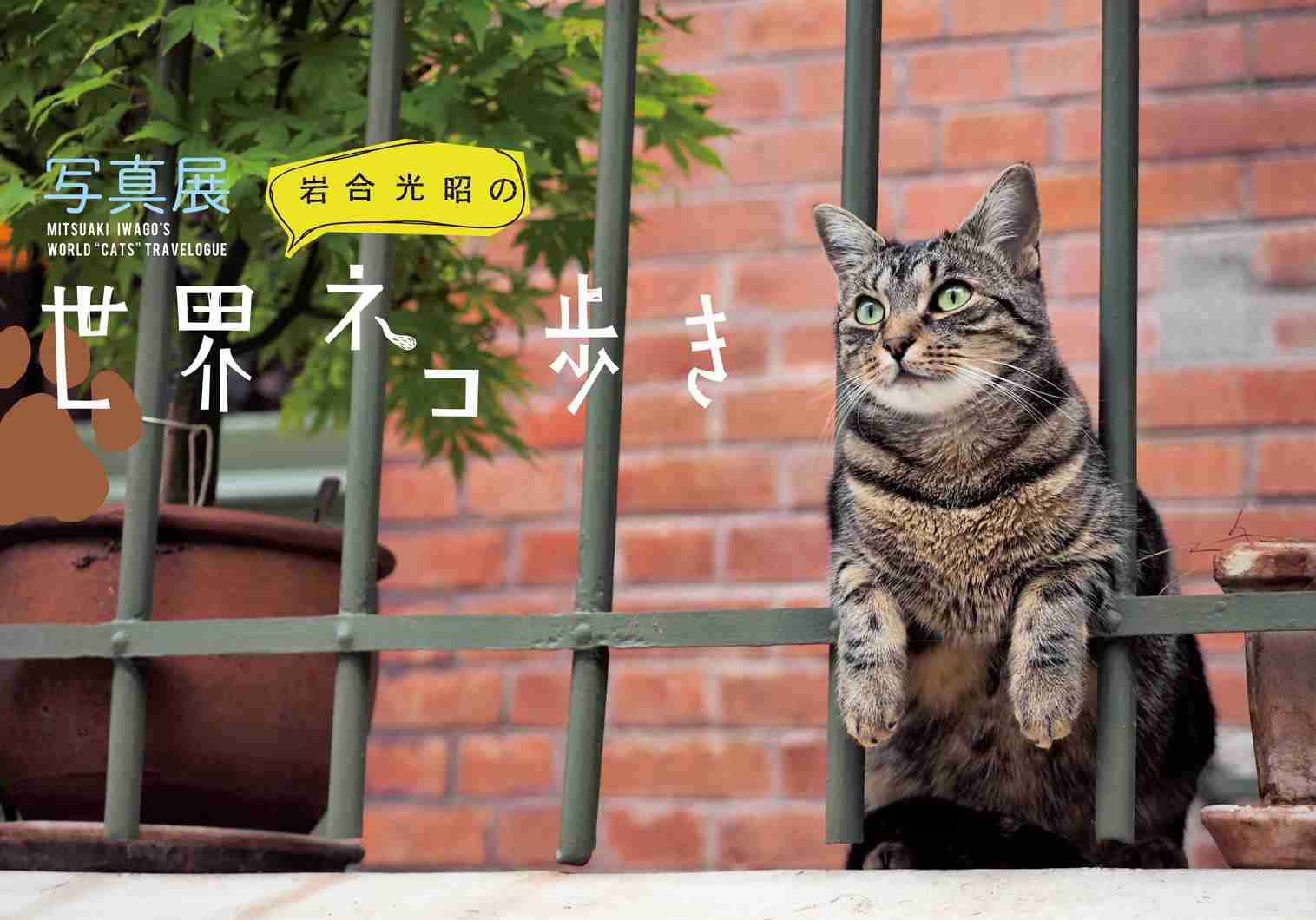 海外旅行気分になれる作品（映画ドラマドキュメンタリー）