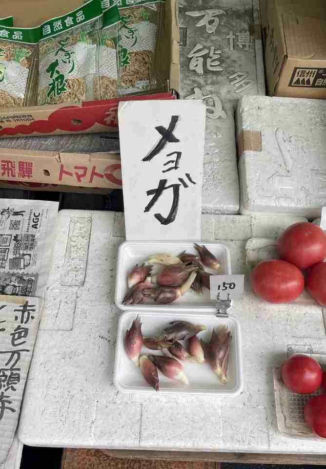 面白い誤字・誤植を貼ってコロナの憂鬱を吹き飛ばすトピpart8