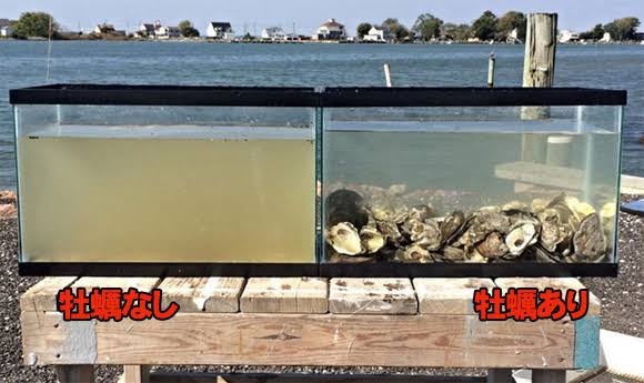遠藤憲一 大好きなカキを食べられなくなった意外な理由明かす