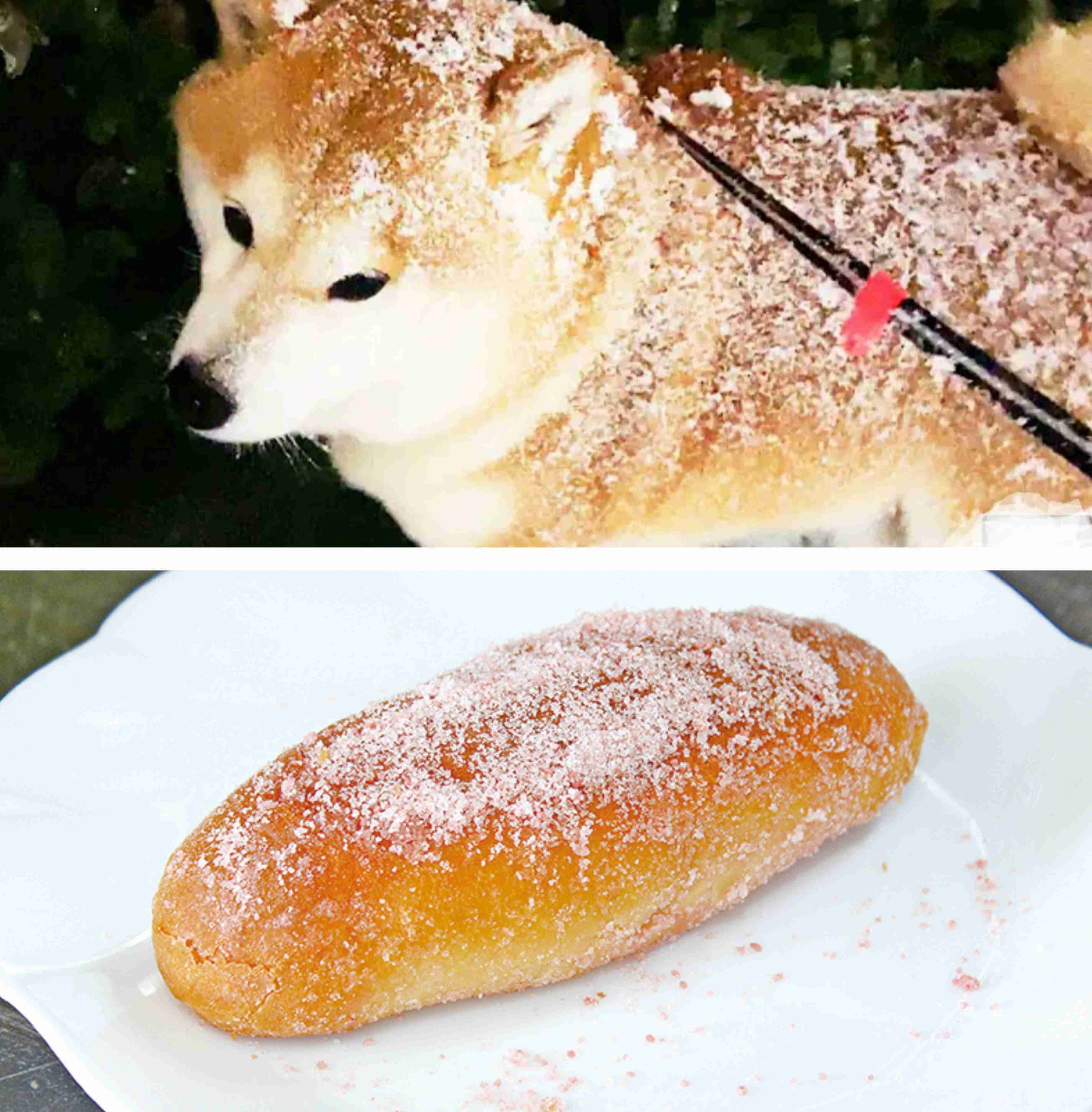 🥐今日パン食べた人🍞