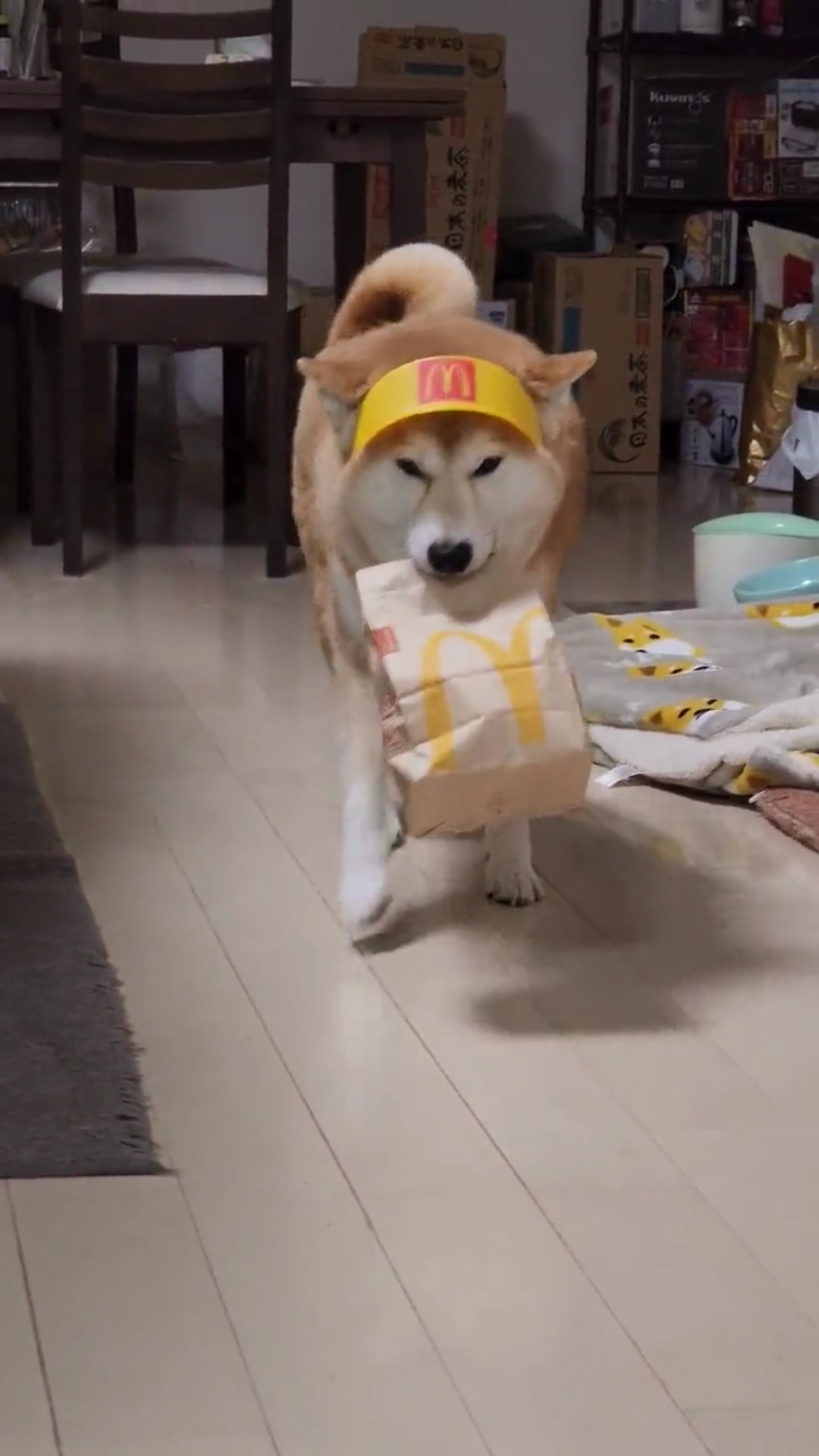 マック店員「神対応」に称賛 ドリンク&ポテトを床にこぼしたら...店の心遣いに「感動しました」