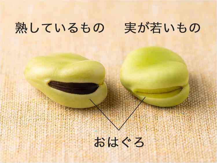 そら豆の楽しみ方の全国調査 - “そら豆LOVER”はあのエリアに集中!? 最も好きな食べ方は…