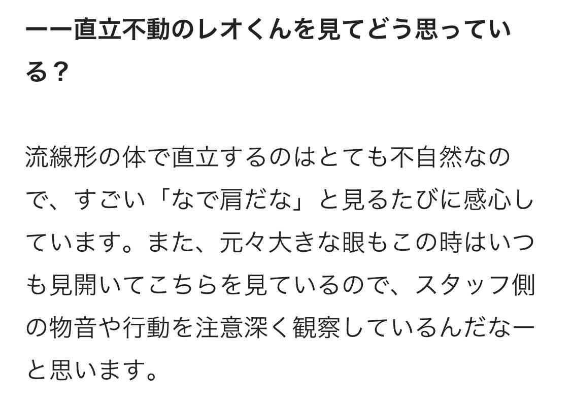 「夢出てきそうで怖い…」バックヤードのアザラシの姿がまるで海坊主！？“直立不動”で見つめてくる理由を飼育員に聞いた