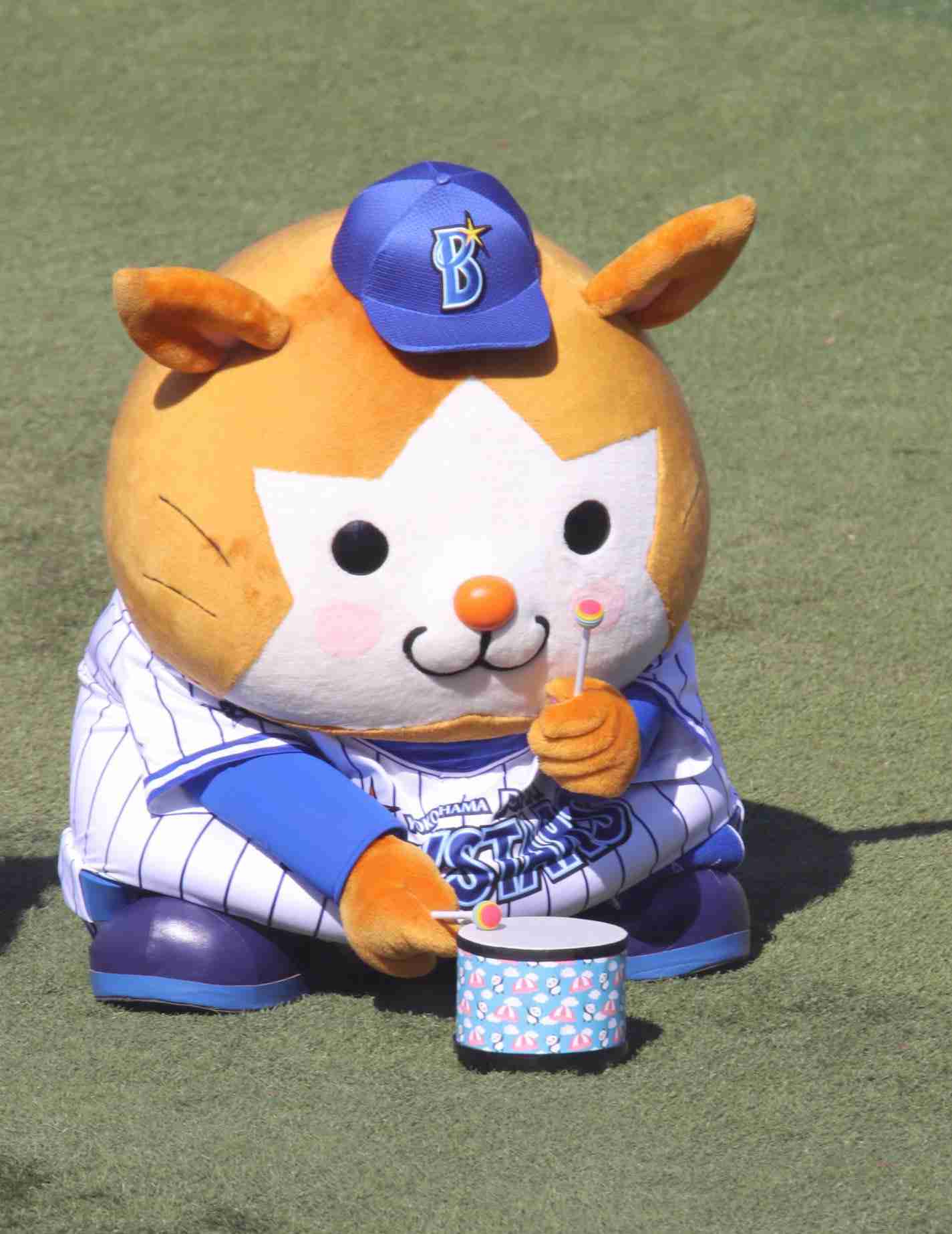 日々の癒し何がありますか？🍀