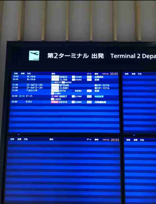 ANA 羽田の国際線4割増便 “水際緩和”で需要急増