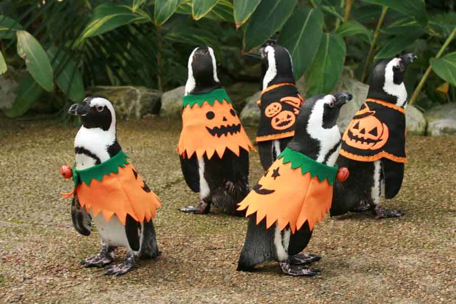 今日の出来事をいらすとやの画像付きで報告するトピ