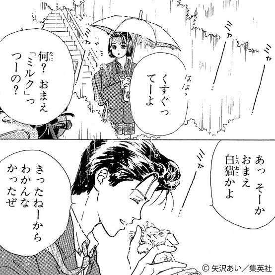 アニメではよく見るけど現実では見たことない人