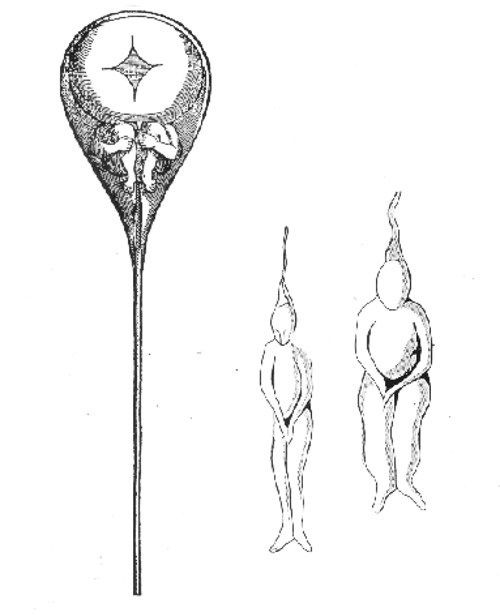 【スピ系】それはないだろうと思ったこと