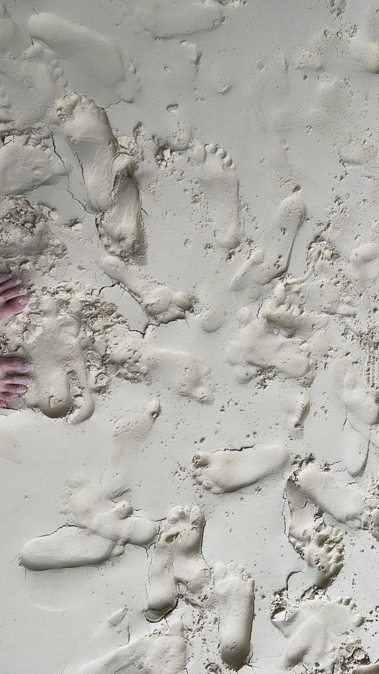 【定期】2gether the seriesについて話そうPart30【タイBL】