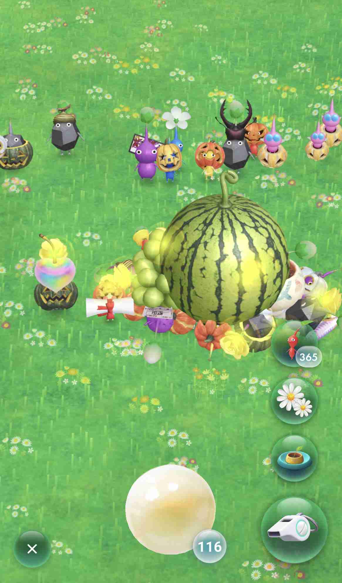 Pikmin Bloom（ピクミンブルーム）ピクミンとおでかけしよう🌼part.5