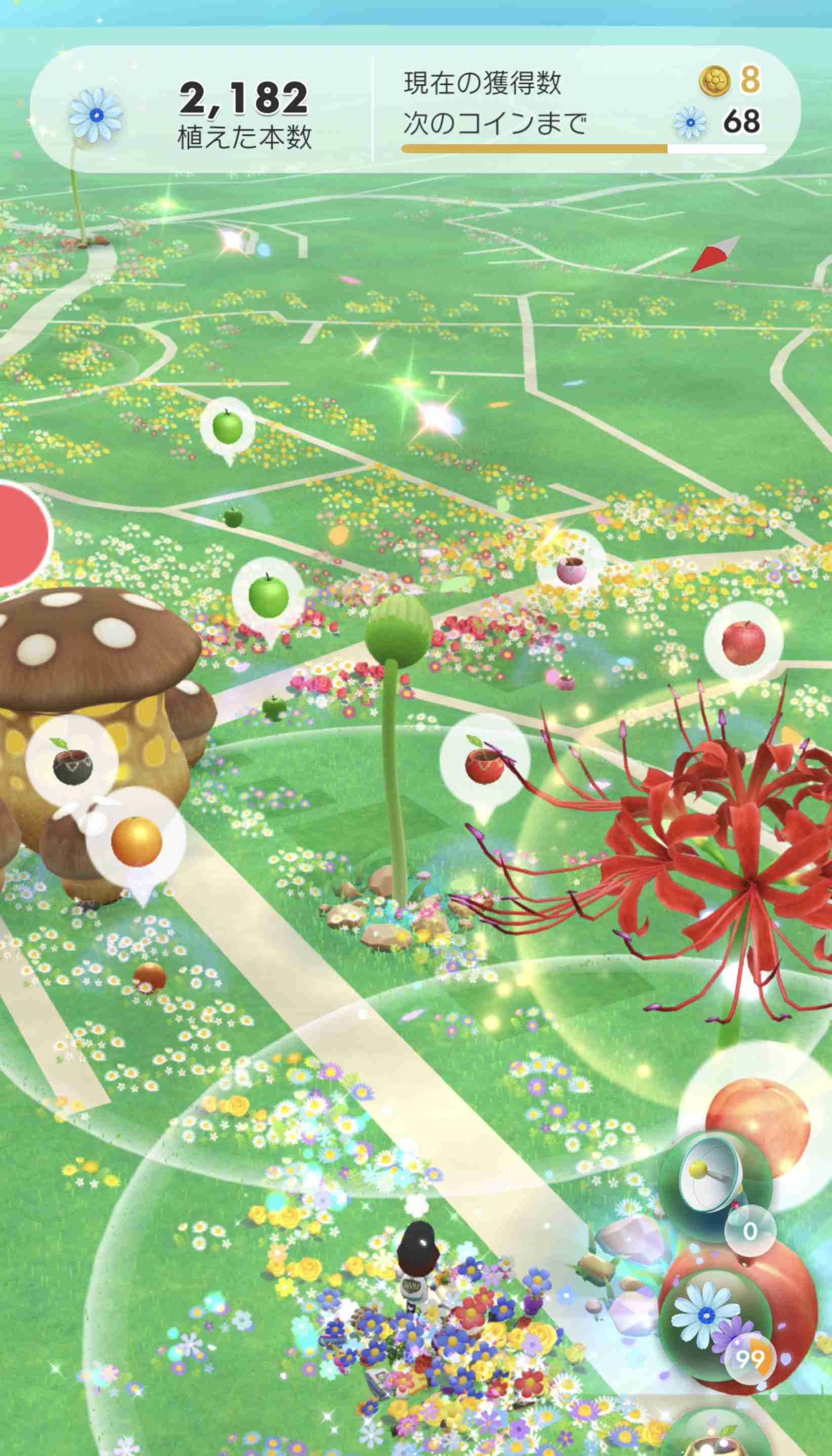 Pikmin Bloom（ピクミンブルーム）ピクミンとおでかけしよう🌼part.5