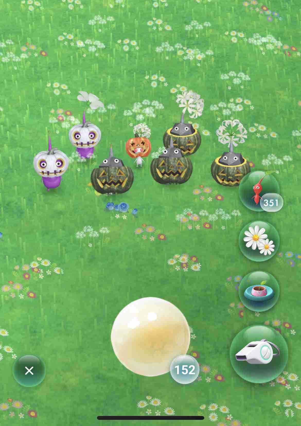 Pikmin Bloom（ピクミンブルーム）ピクミンとおでかけしよう🌼part.5