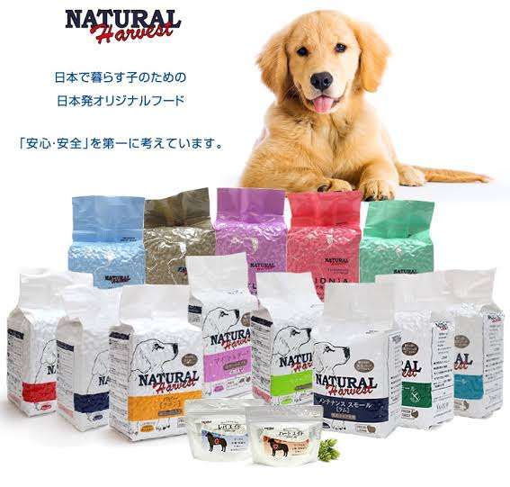 おすすめドッグフード