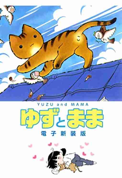 おすすめの猫エッセイ漫画