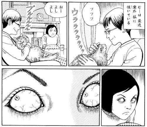 おすすめの猫エッセイ漫画