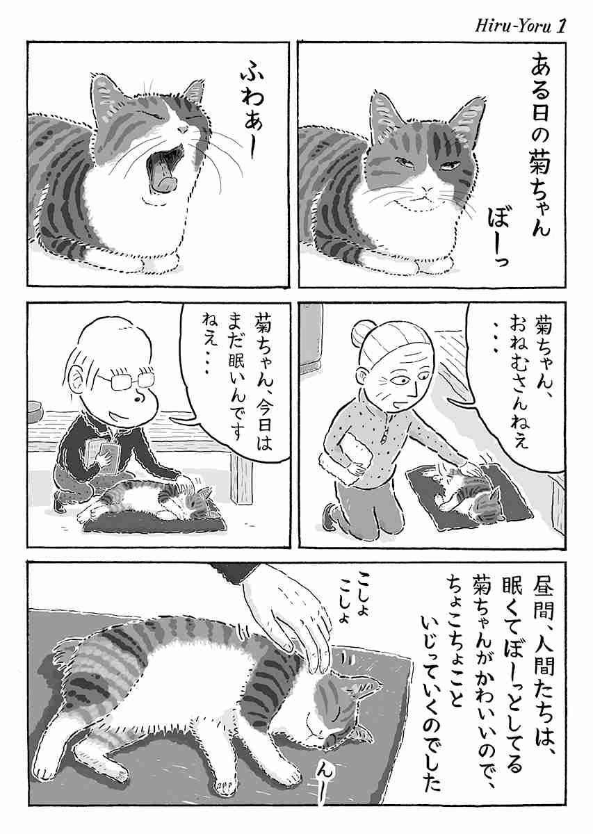 おすすめの猫エッセイ漫画