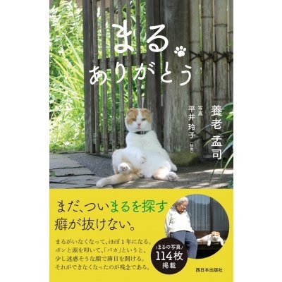 おすすめの猫エッセイ漫画