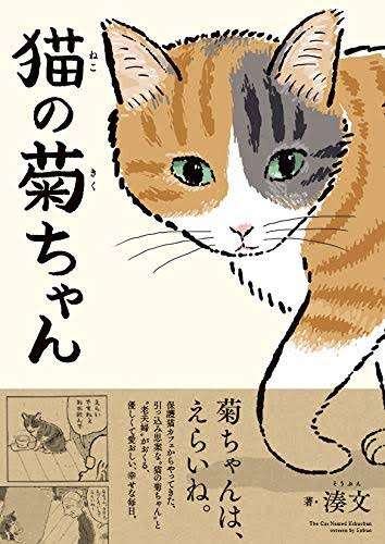 おすすめの猫エッセイ漫画