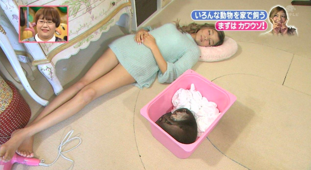 女性芸能人の美脚が見たい