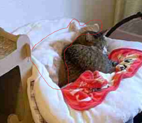 「30秒以内にねこを5匹見つけてください」 難易度高すぎる写真問題に2.9万人苦戦