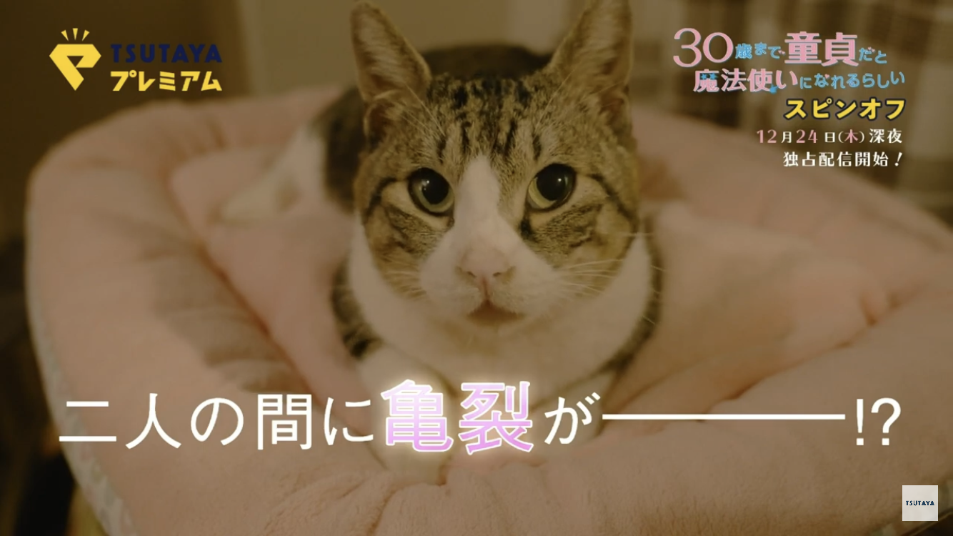 【定期】ドラマ『30歳まで童貞だと魔法使いになれるらしい』を語ろう♪part21