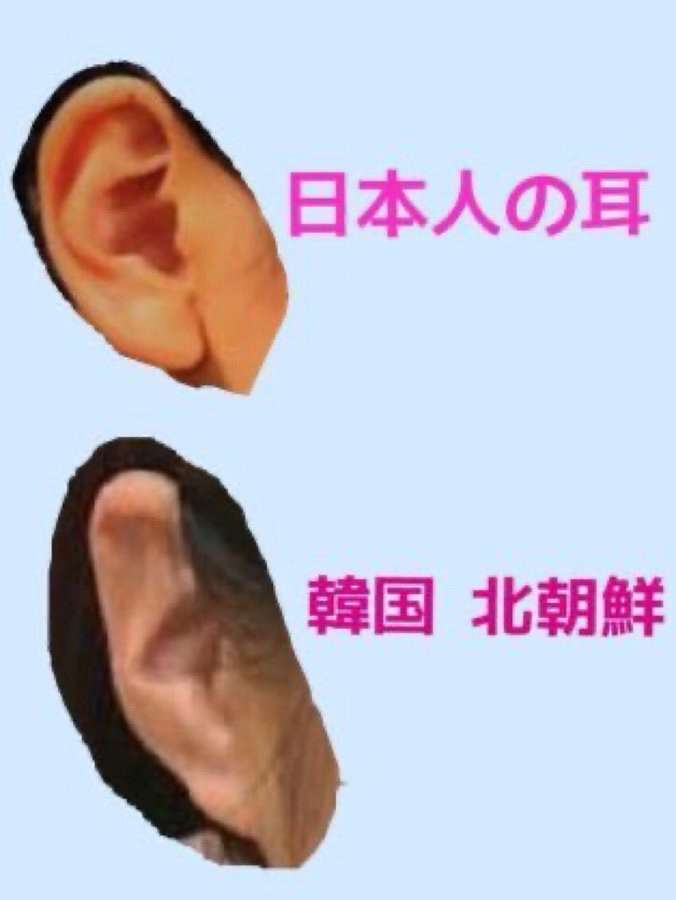 韓国・転倒事故　10代と20代の日本人女性2人が死亡