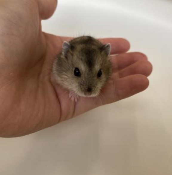 これ怖いと思ってるの自分だけだろうなってもの